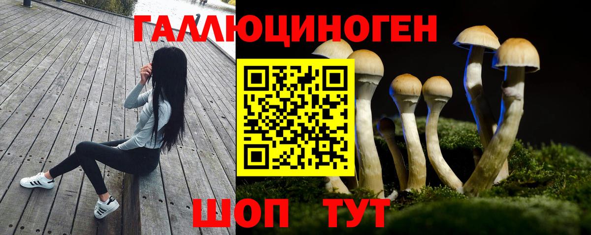 Галлюциногенные грибы Psilocybine cubensis Семёнов