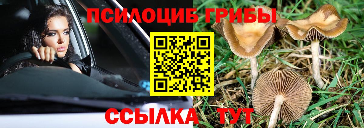 Галлюциногенные грибы ЛСД  Галлюциногенные грибы ЛСД  Семёнов  Вход с VPN 